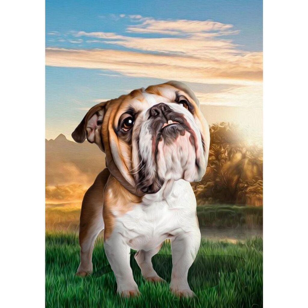 Bulldog - Premium - Firkantede sten - 60 x 80 cm - Lærred, sten, pen, bakke, gele, poser til stenene - Med saml-selv-ramme