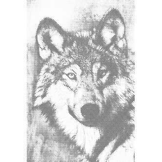 Mal med Prikker - Ulv - Uden ramme - 40 x 60 cm