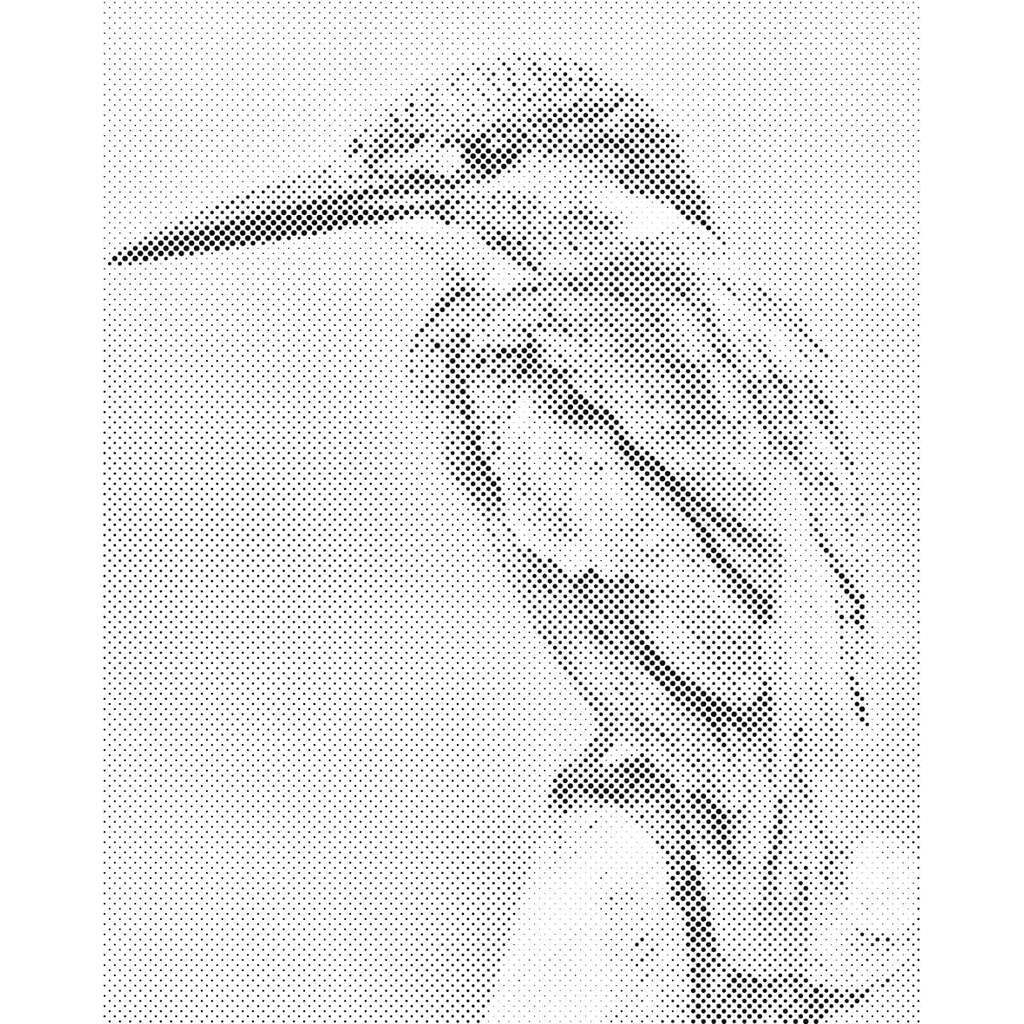 Mal med Prikker - Isfugl - Opspændt på ramme - 60 x 80 cm