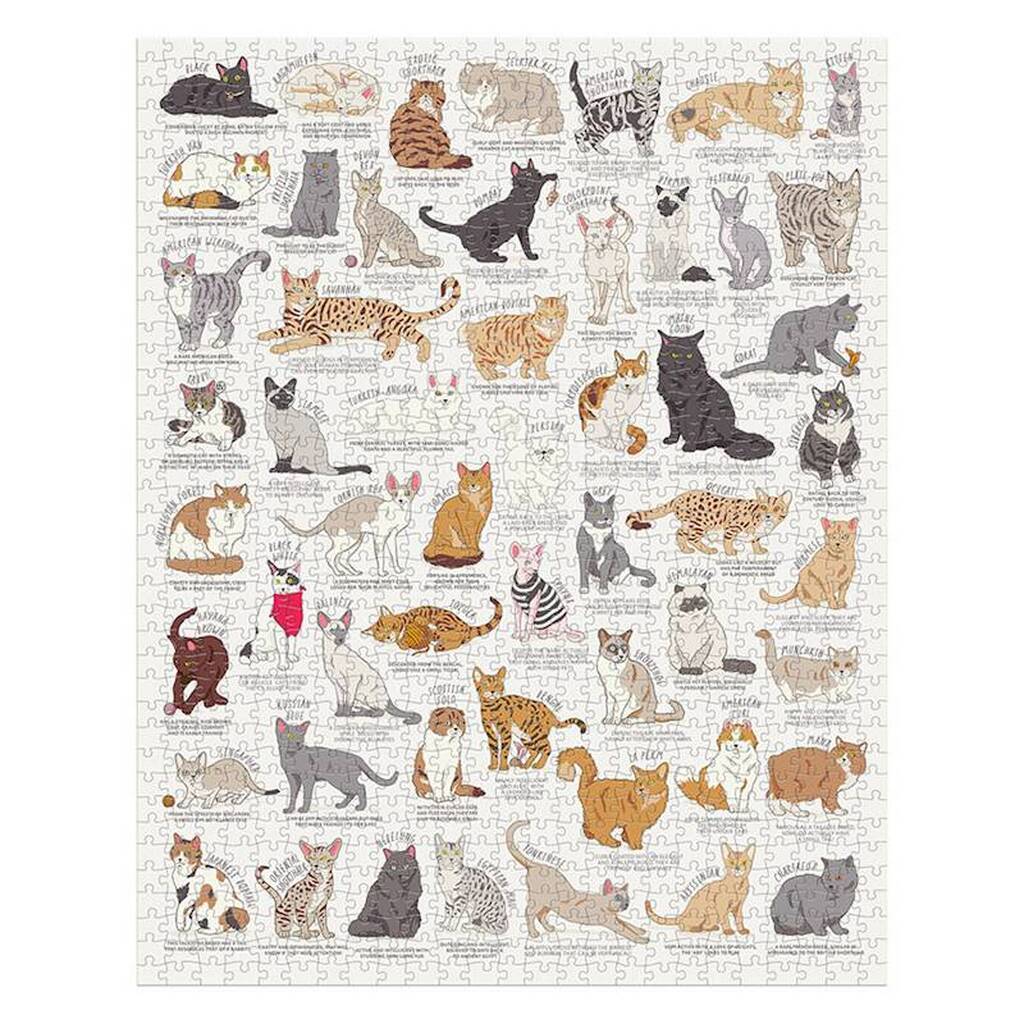 Katte (1000 brikker)