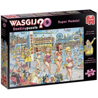 Wasgij Destiny 9 - 1000 brikker