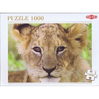 Lion - 1000 brikker