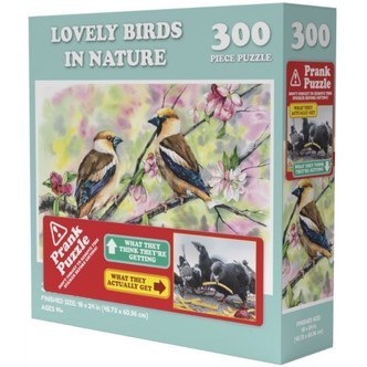 Lovely Birds in Nature - 300 brikker