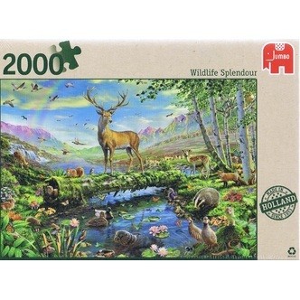 Wildlife Splendour, 2000 brikker