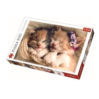 Sleeping kittens, 500 brikker