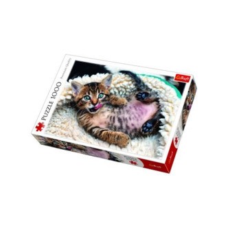 Cheerful Kitten - 1000 brikker