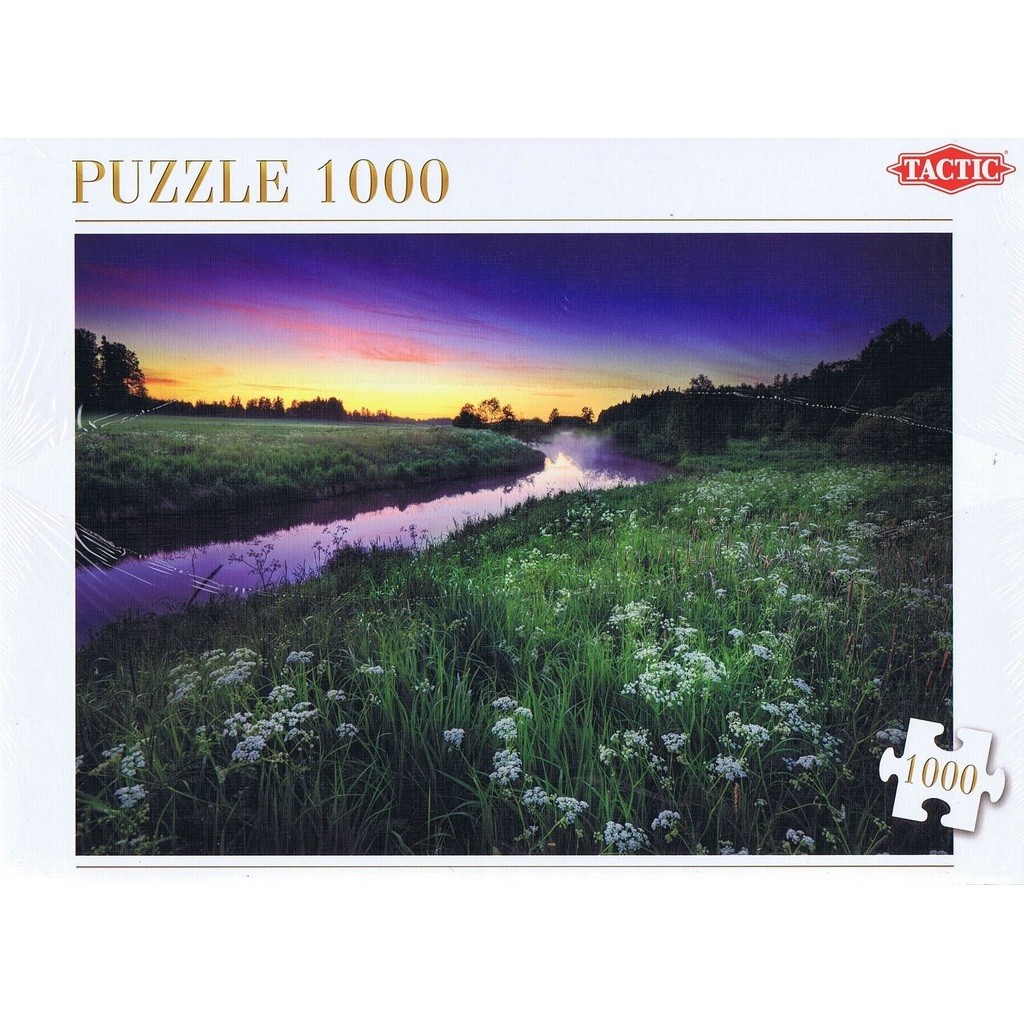Summer Night - 1000 brikker