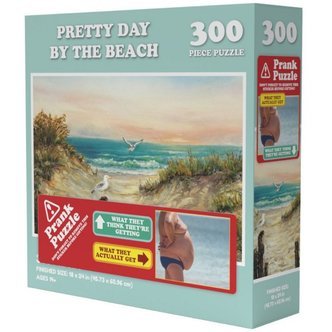 Pretty Day at the Beach - 300 brikker