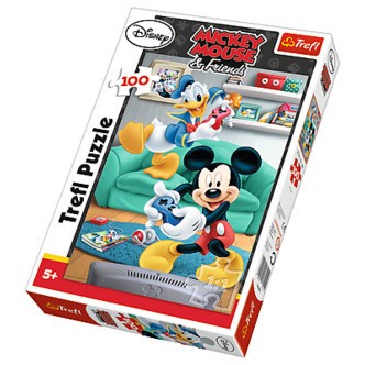Mickey & Donald - 100 brikker
