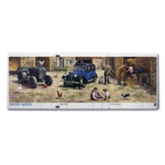 Pocket Puzzle, Vets Visit