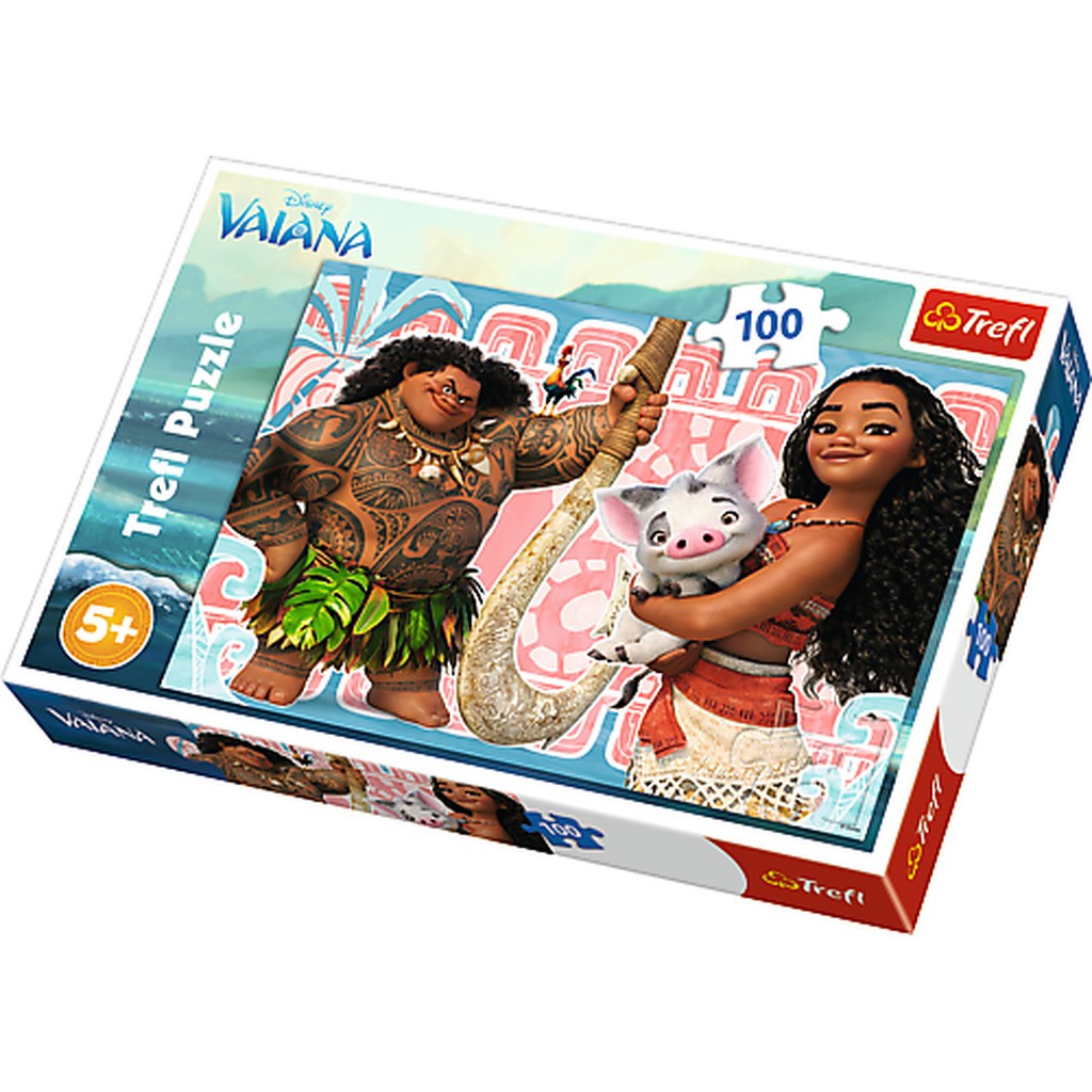 Vaiana - 100 brikker