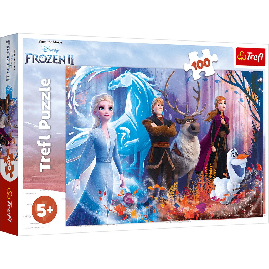 Disney Frost 2 - 100 brikker