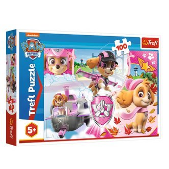 Paw Patrol - Skye - 100 brikker