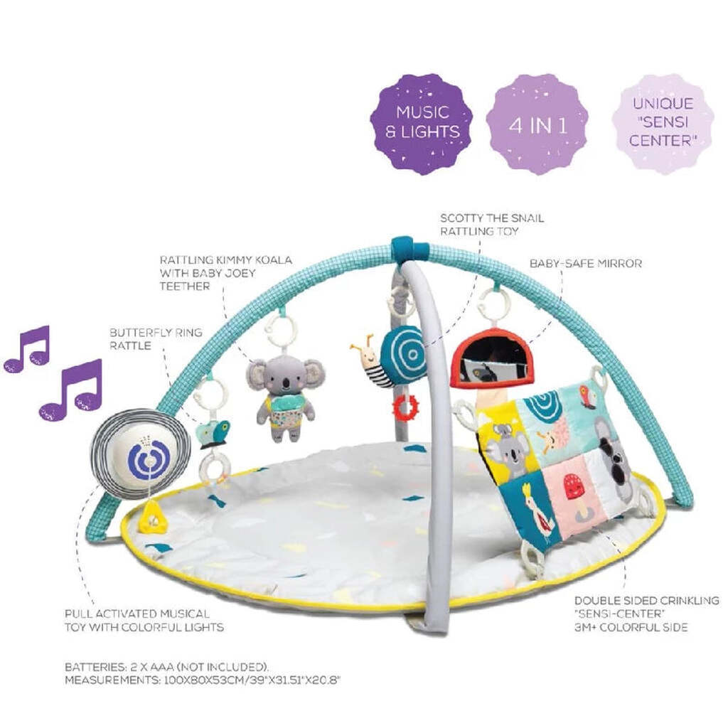 Taf All Around me Gym