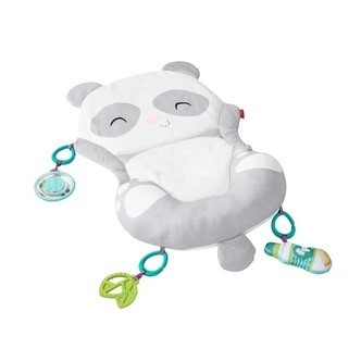 Fisher Price All - in - One Panda Playmat