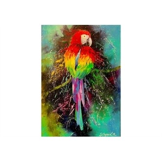 Colorful Parrot