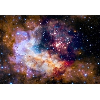 Star Cluster in the Milky Way Galaxy