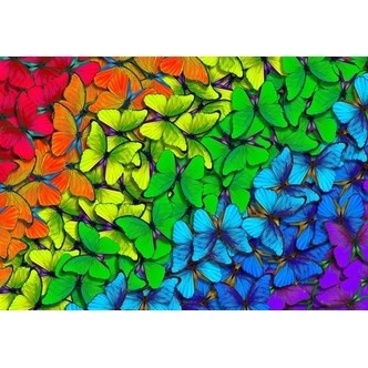 Rainbow Butterflies