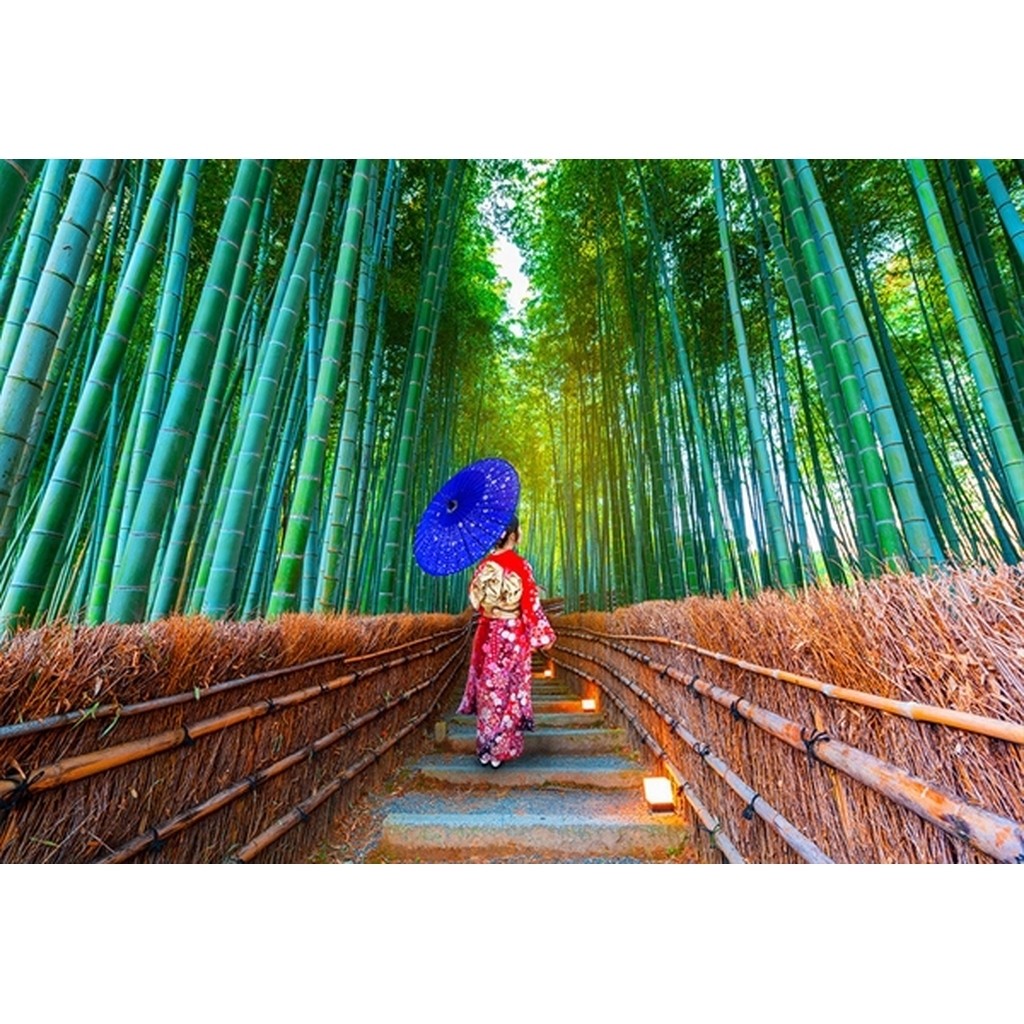 Asian Woman in Bamboo Forest