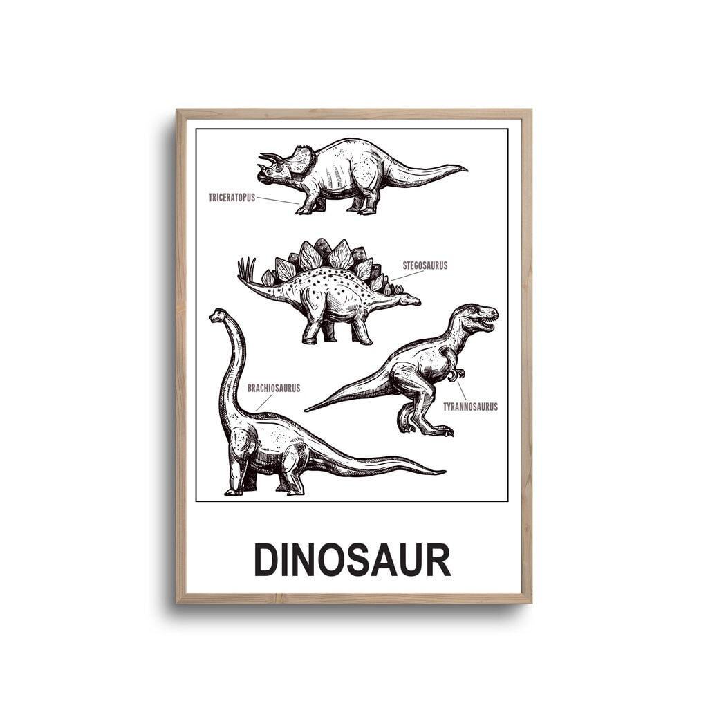 Hvid dinosaurer samling - plakat