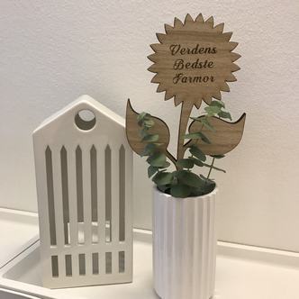Solsikke egetræ - 27 cm