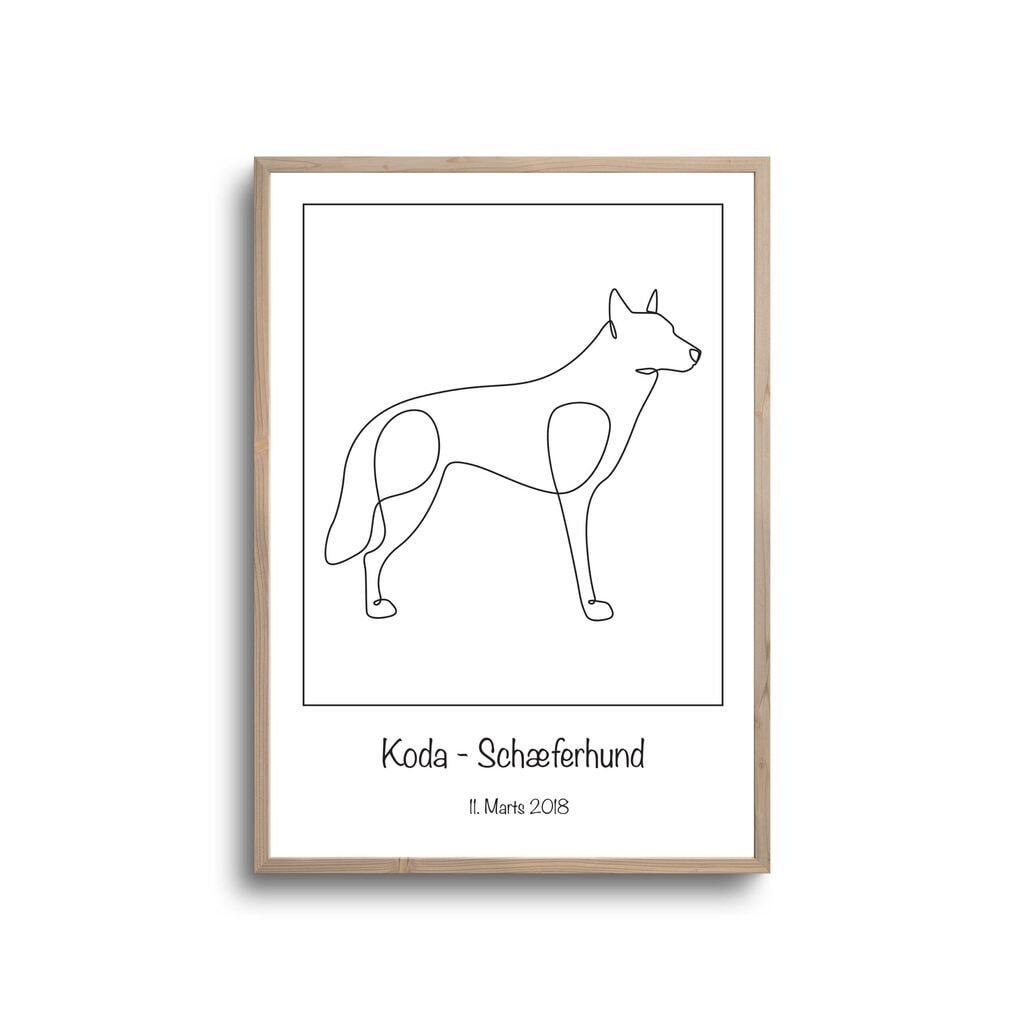 Schæfer hund - Plakat