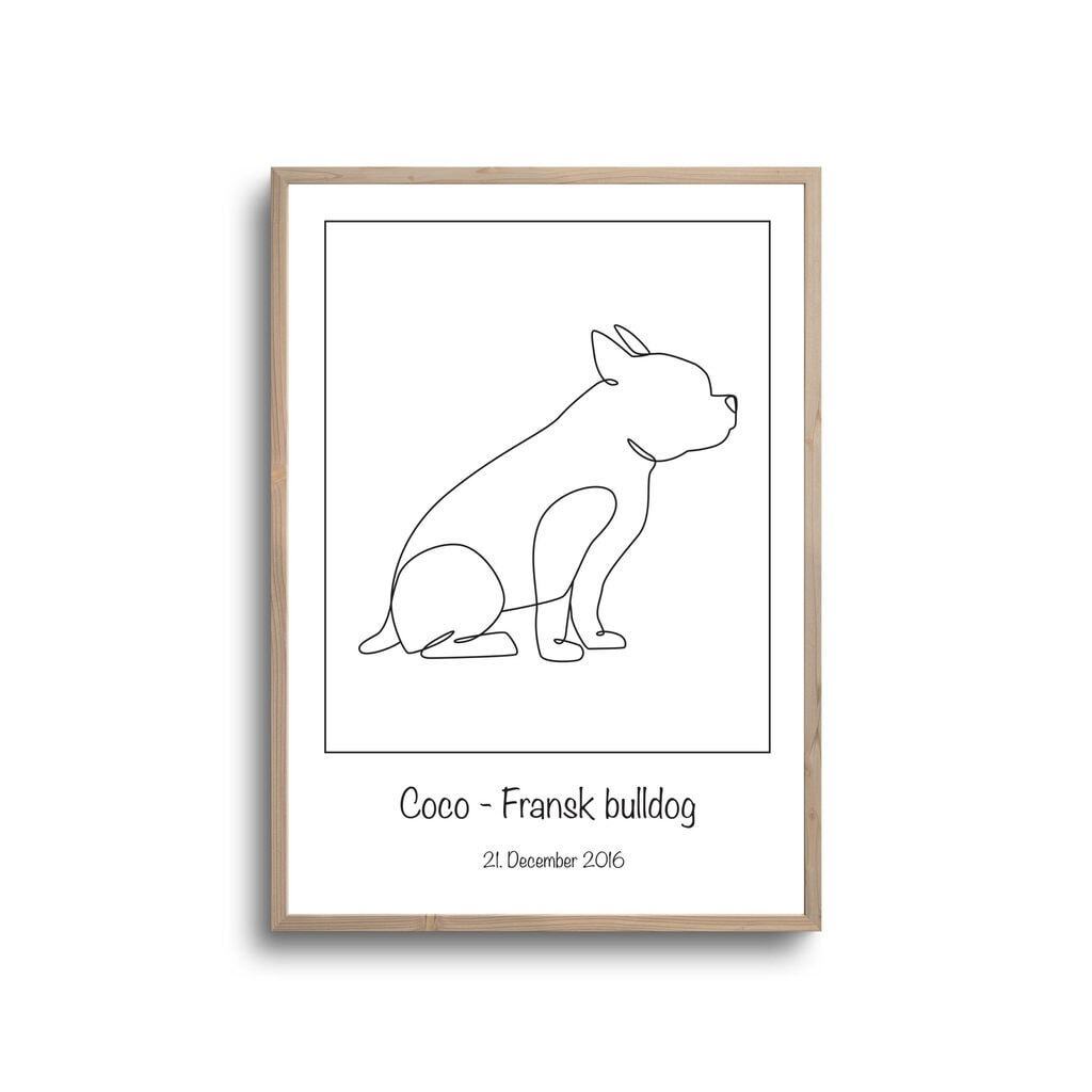 Fransk Bulldog - Plakat