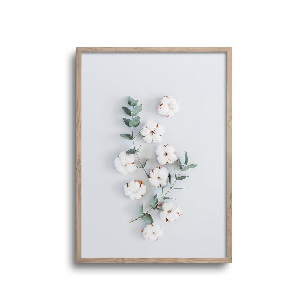 Blomst - Plakat