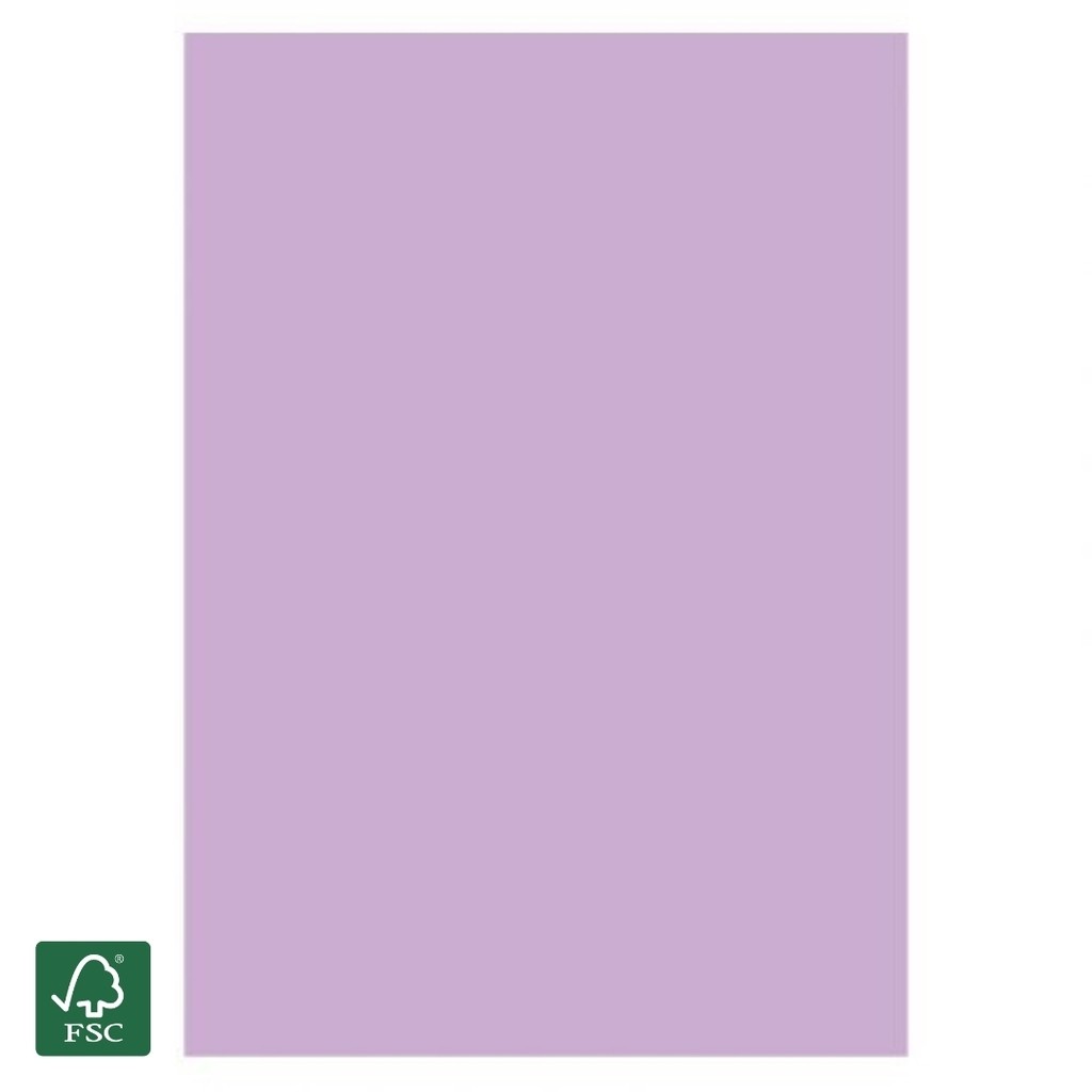 A4 papir lilla 170g (10 ark)