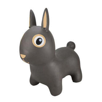 Find That Hippo Hoppedyr - Thumper the Rabbit