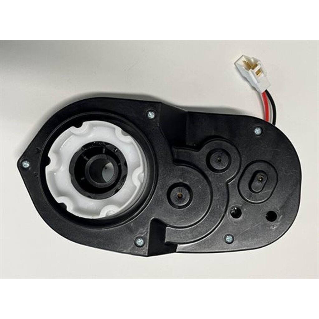 Motor med Gear 24v 22000RPM
