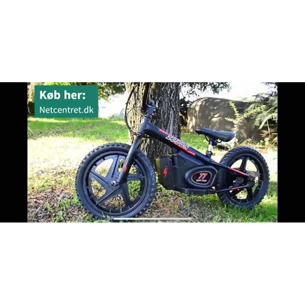 16" Travis Balance EL-cykel 13/24 km/t