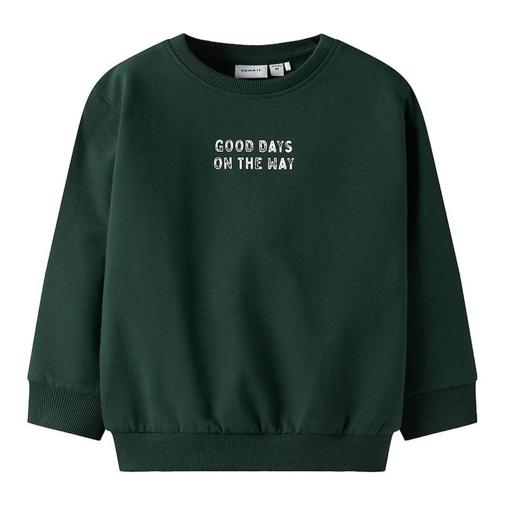 Name It Sweatshirt - NmmSlade - Pine Grove