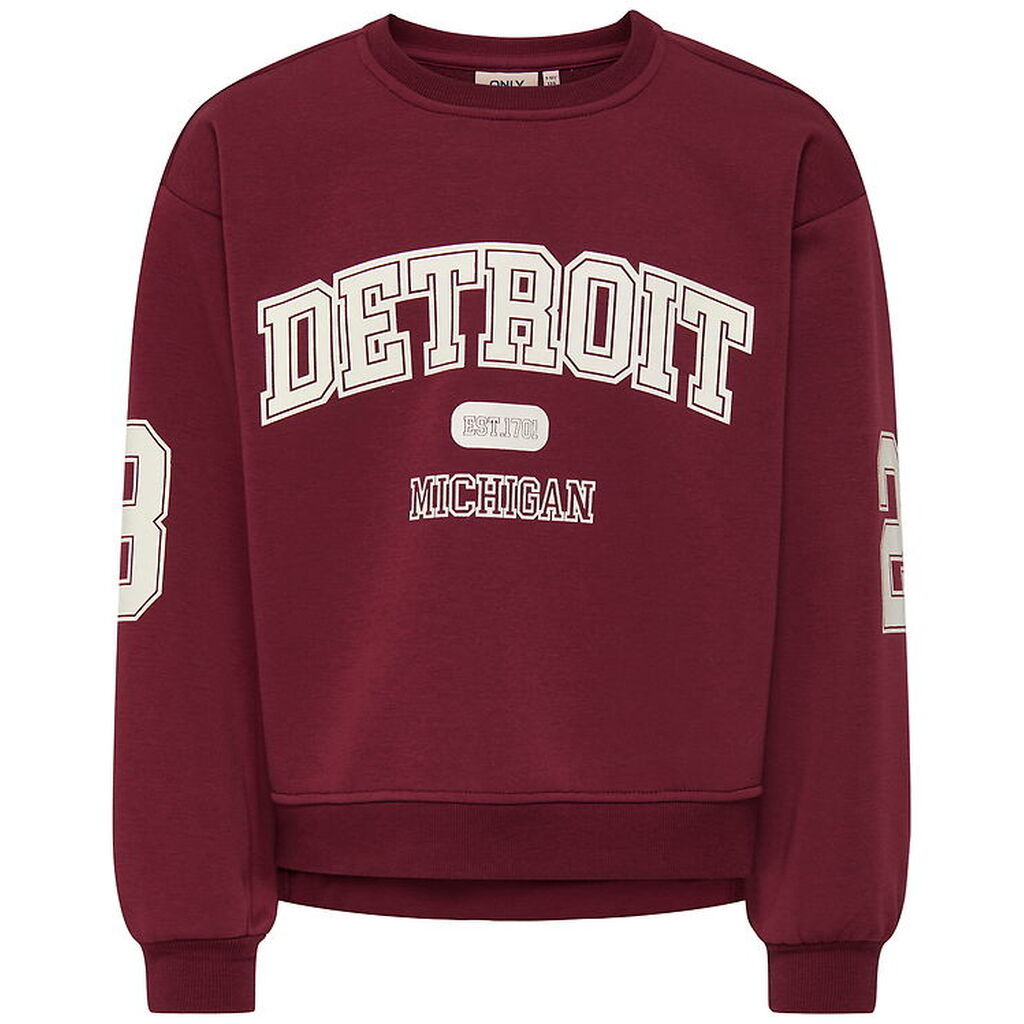 Kids Only Sweatshirt - KogVictory - Cabernet/Detroit/Cloud Dance