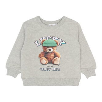 The New Siblings Sweatshirt - TnstPippin - Light Grey Melange