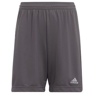 adidas Performance Shorts - Entrada 22 - Grå