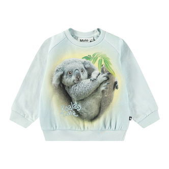 Molo Sweatshirt - Disc - Koalaty Time