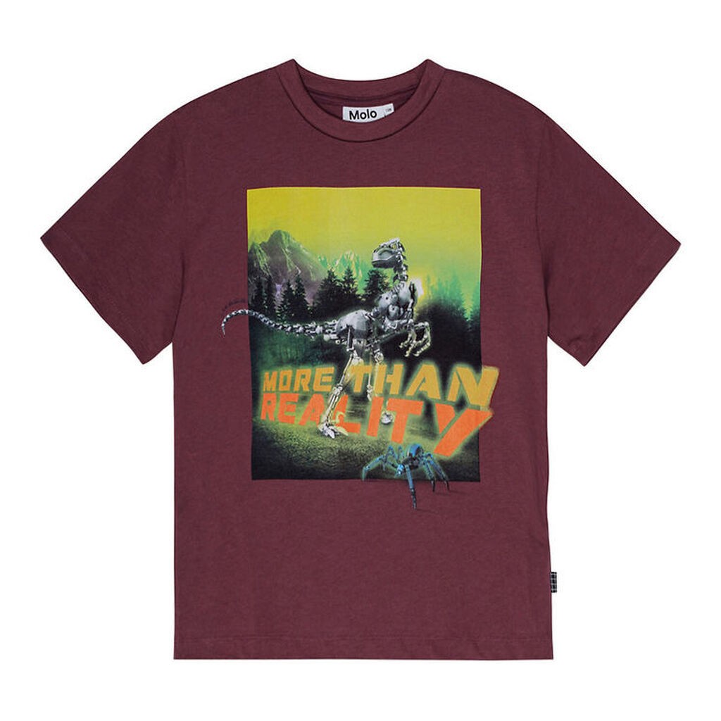 Molo T-shirt - Riley - More Than...