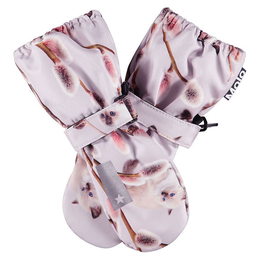 Molo Luffer - Igor - Willow Kitten