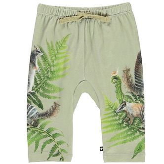 Molo Bukser - Sabb - Fern Climbers