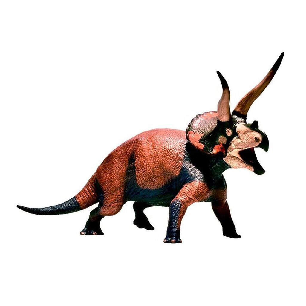 Eofauna - 13,5 x 20 cm - Triceratops Dominant