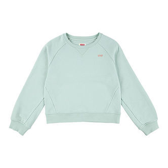 Levis Sweatshirt - Celadon