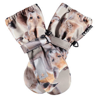 Molo Luffer - Igor - Playing Foxes