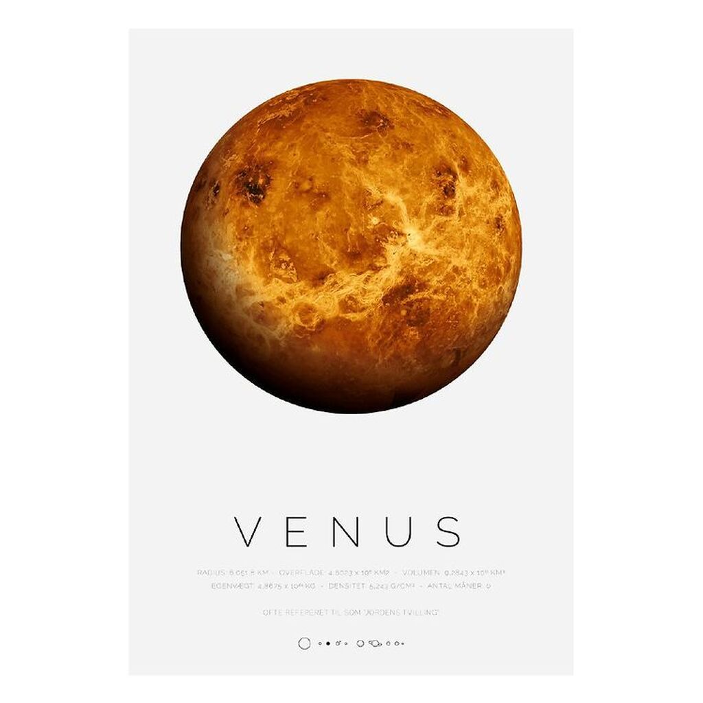Citatplakat Plakat - B2 - Venus