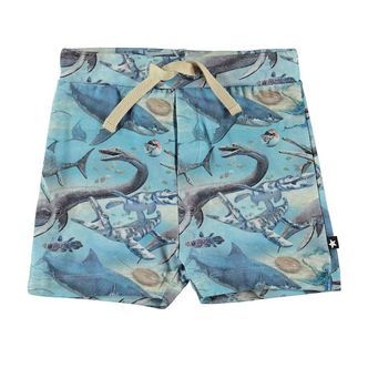 Molo Shorts - Simroy - Ancient Ocean