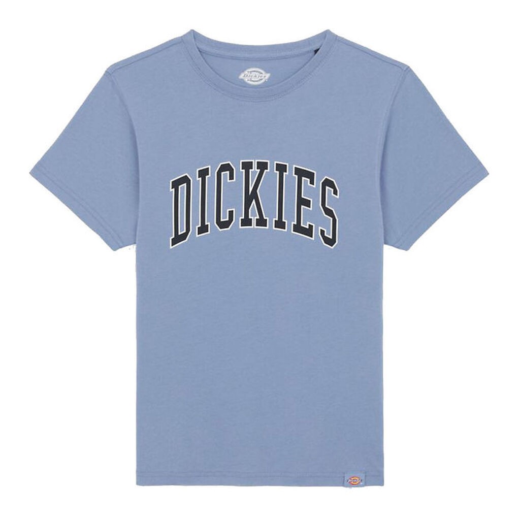 Dickies T-shirt - Aitkin - Country Blue