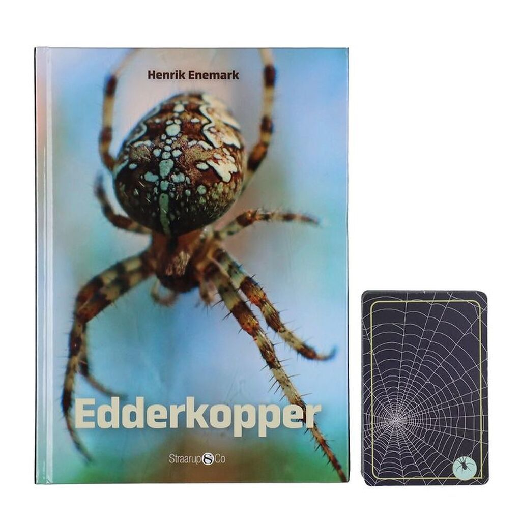 Straarup & Co Sampak - Spil & Læs - Edderkopper