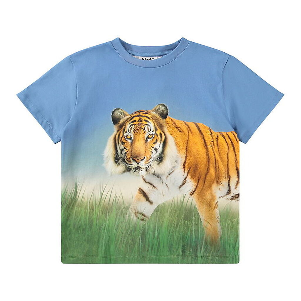 Molo T-shirt - Rubin - Tiger On Blue