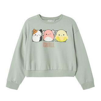Name It Sweatshirt - NkfMomira - Squishmallows - Aqua Gray