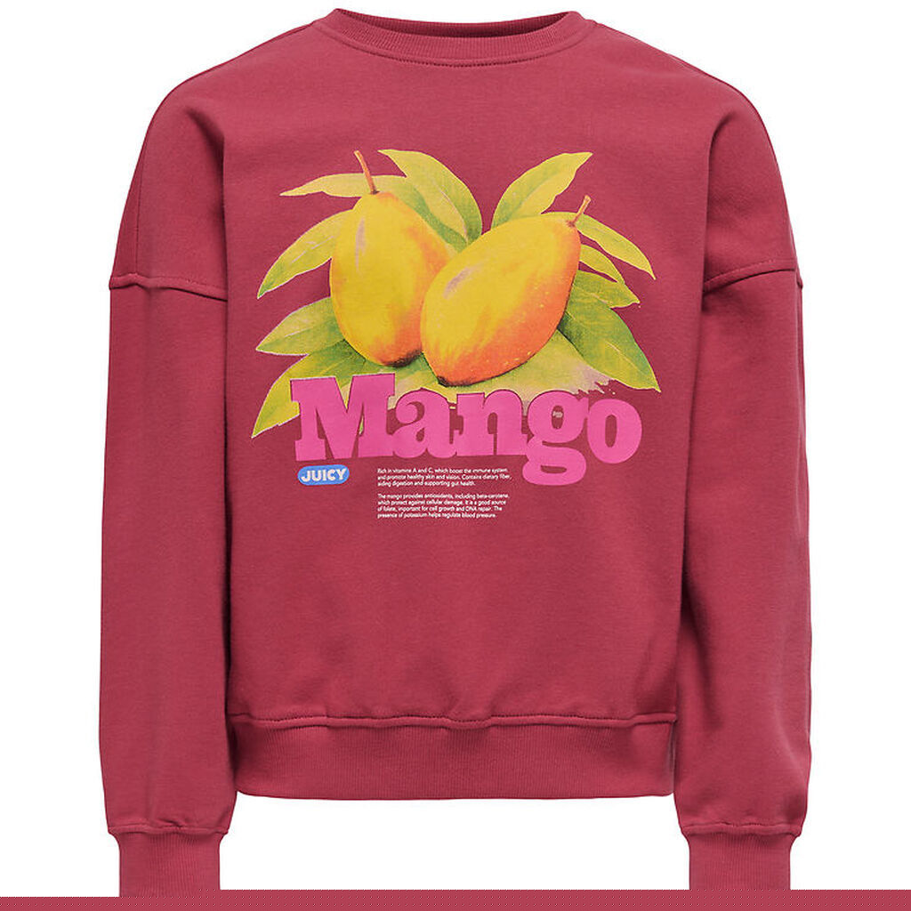 Kids Only Sweatshirt - KonPhilea - Earth Red/Mango